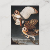 John James Audubon Barn Owls Carte de visite (Devant)