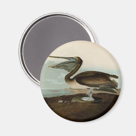John James Audubon Brown Pelican Artwork schildere Magneet (Voorkant / Achterkant)
