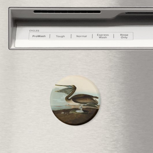 John James Audubon Brown Pelican Artwork schildere Magneet (Insitu (Vaatwasser))