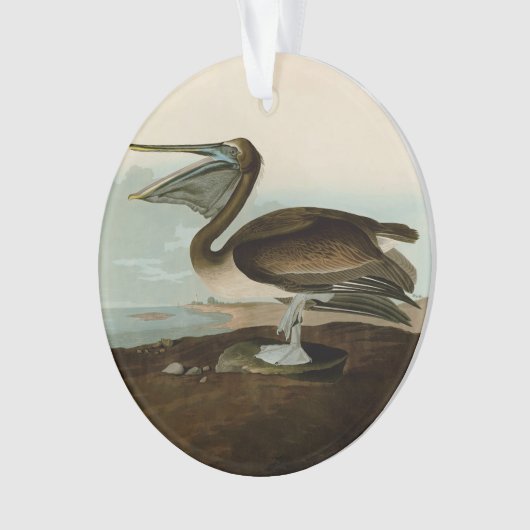 John James Audubon Brown Pelican Artwork schildere Ornament (voorkant)
