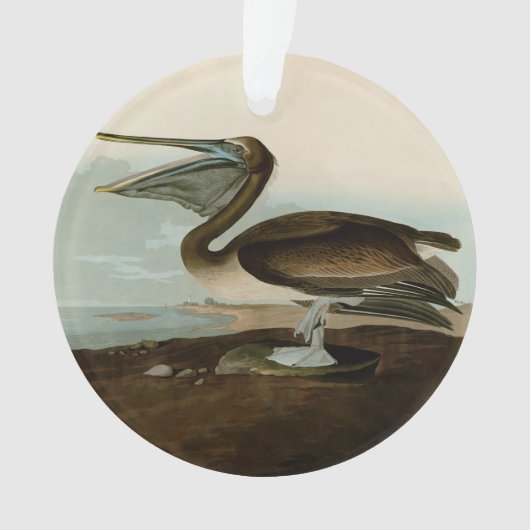 John James Audubon Brown Pelican Artwork schildere Ornament (voorkant)