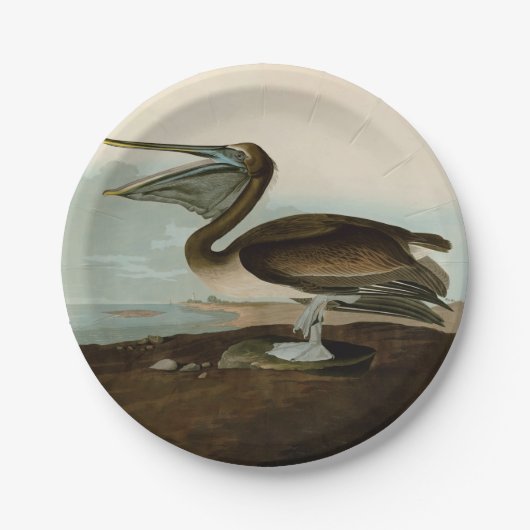 John James Audubon Brown Pelican Artwork schildere Papieren Bordje (Voorkant)