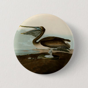 John James Audubon Brown Pelican Artwork schildere Ronde Button 5,7 Cm