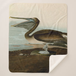 John James Audubon Brown Pelican Artwork schildere Sherpa Deken