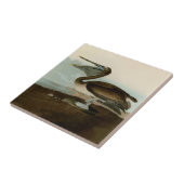 John James Audubon Brown Pelican Artwork schildere Tegeltje (Zijkant)