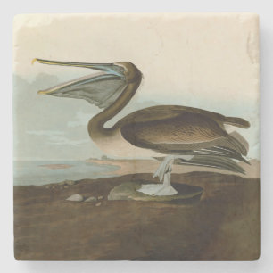 John James Audubon Brown Pelican Kunstwerk Schilde Stenen Onderzetter