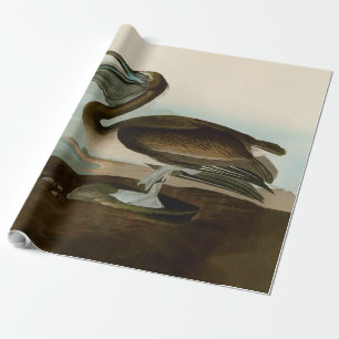 John James Audubon Bruine Pelikaan Kunstwerk Schil Cadeaupapier