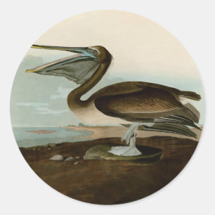 John James Audubon Bruine Pelikaan Kunstwerk Schil Ronde Sticker