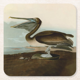 John James Audubon Bruine Pelikaan Kunstwerk Schil Vierkante Kartonnen Onderzetter