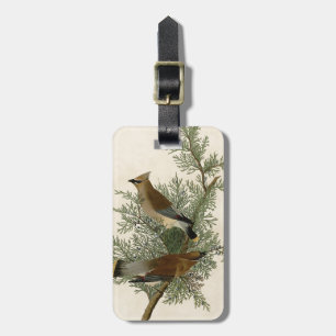 John James Audubon Cedar Waxwing Vogelprint Bagagelabel