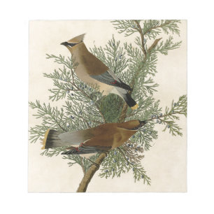 John James Audubon Cedar Waxwing Vogelprint Notitieblok