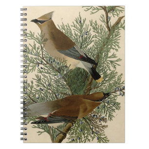 John James Audubon Cedar Waxwing Vogelprint Notitieboek