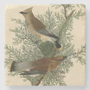 John James Audubon Cedar Waxwing Vogelprint Stenen Onderzetter