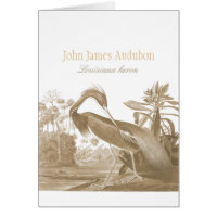 John James Audubon Heron Lousiana CC0750 Bird