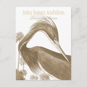 John James Audubon Lousiana heron CC0752 Bird Briefkaart