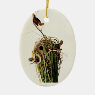 John James Audubon Marsh Wren Vogelprint Keramisch Ornament