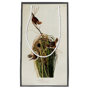 John James Audubon Marsh Wren Vogelprint Klein Cadeauzakje