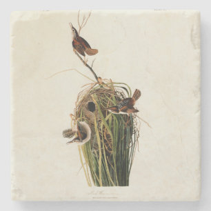 John James Audubon Marsh Wren Vogelprint Stenen Onderzetter