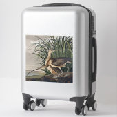 John James Audubon Regenwulp vogel Sticker (Koffer)
