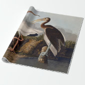 John James Audubon White Ibis Bird Print Classic Cadeaupapier (Uitgerold)