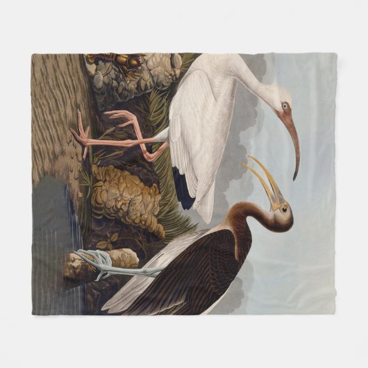 John James Audubon White Ibis Bird Print Classic Fleece Deken (Voorkant (Horizontaal))
