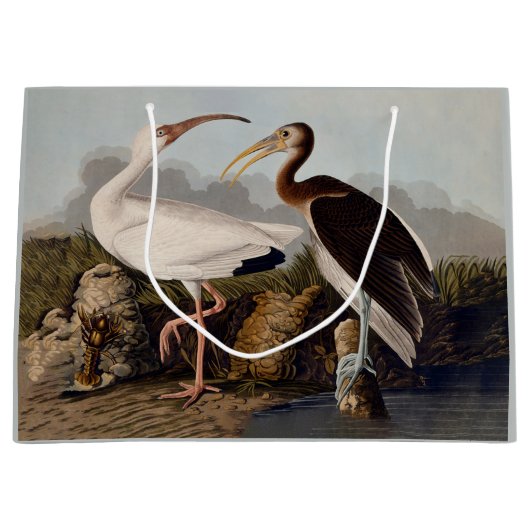 John James Audubon White Ibis Bird Print Classic Groot Cadeauzakje (Voorkant)