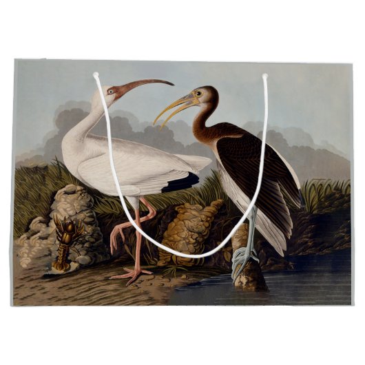 John James Audubon White Ibis Bird Print Classic Groot Cadeauzakje (Achterkant)