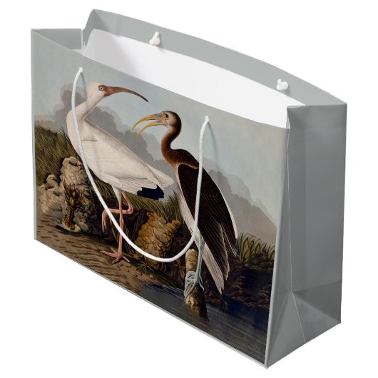 John James Audubon White Ibis Bird Print Classic Groot Cadeauzakje (Achterkant Gekanteld)