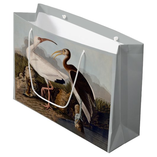 John James Audubon White Ibis Bird Print Classic Groot Cadeauzakje (Voorkant Gekanteld)