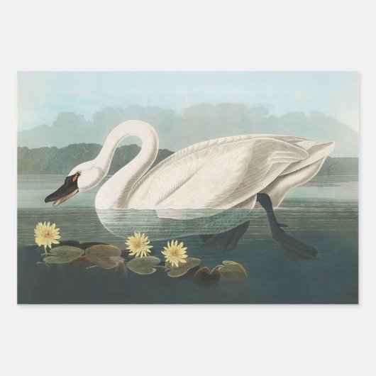 John James Audubon White Ibis Bird Print Classic Inpakpapier Vel (Voorkant 3)