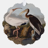 John James Audubon White Ibis Bird Print Classic Ornament Kaart (Achterkant)