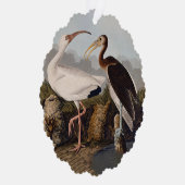 John James Audubon White Ibis Bird Print Classic Ornament Kaart (Rechts)