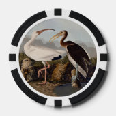 John James Audubon White Ibis Bird Print Classic Poker Chips (Voorkant)