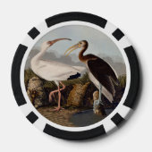 John James Audubon White Ibis Bird Print Classic Poker Chips (Achterkant)