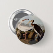 John James Audubon White Ibis Bird Print Classic Ronde Button 5,7 Cm (Voorkant /achterkant)