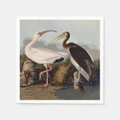 John James Audubon White Ibis Bird Print Classic Servet (Voorkant)