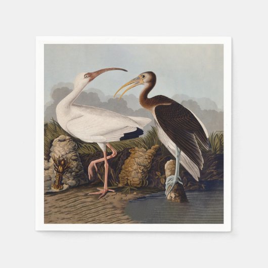 John James Audubon White Ibis Bird Print Classic Servet (Voorkant)