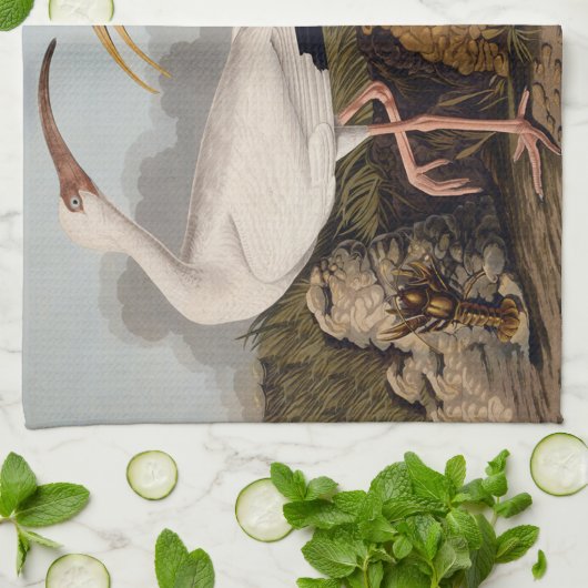 John James Audubon White Ibis Bird Print Classic Theedoek (Gevouwen)