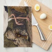 John James Audubon White Ibis Bird Print Classic Theedoek (Quarter Fold)