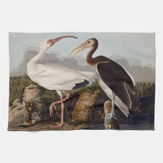 John James Audubon White Ibis Bird Print Classic Theedoek (Horizontaal)