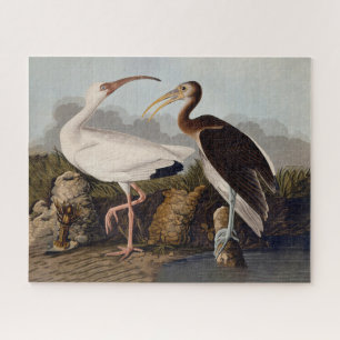 John James Audubon Witte Ibis Vogelprint Klassieke Legpuzzel