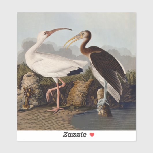 John James Audubon Witte Ibis Vogelprint Klassieke Sticker (Vel)