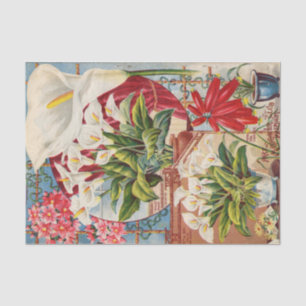 John Lewis Child's Calla Bloembollen Catalogus 189 Tissuepapier
