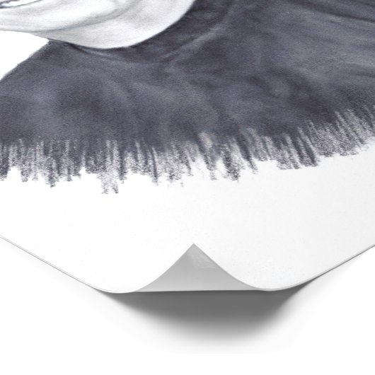 John M Poster (Hoek)