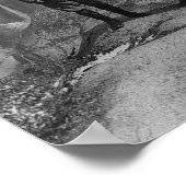 John Muir en Teddy Roosevelt Poster (Hoek)