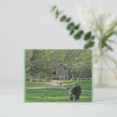 John Oliver Cabin Briefkaart (Staand voorkant)