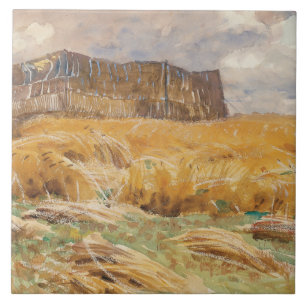 John Singer Sargent - Camouflaged Field in Frankri Tegeltje