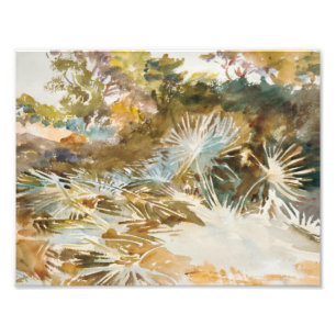 John Singer Sargent - Landschap met Palmettos Foto Afdruk