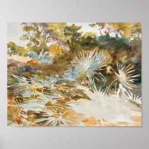 John Singer Sargent - Landschap met Palmettos Poster