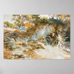 John Singer Sargent - Landschap met Palmettos Poster